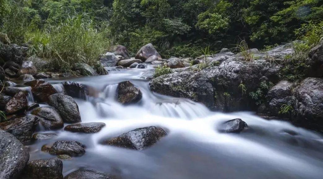 刘志明“胃痛宜和”思想探微